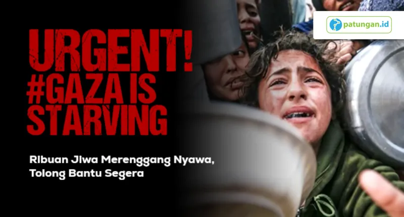 Gaza Darurat Kelaparan, Lebih Dari Setengah juta jiwa dalam Kondisi Kritis